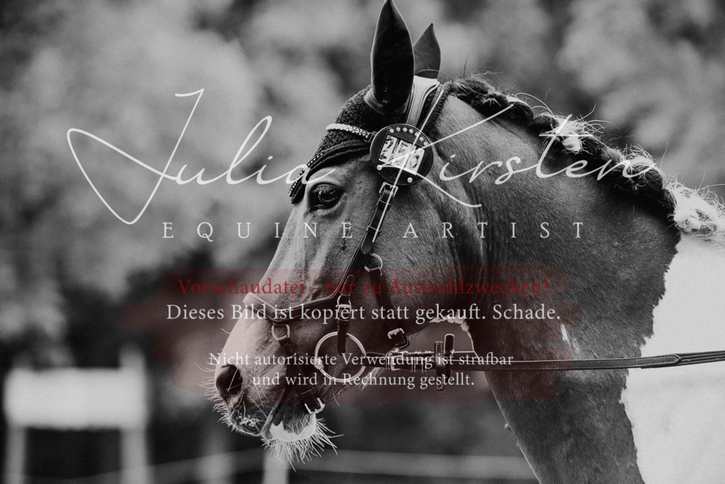DSC_0172 | Pferde- und Turnierfotografie in Westsachsen. Pferdeportraits, Auftragszeichnungen und intuitive Kunst.