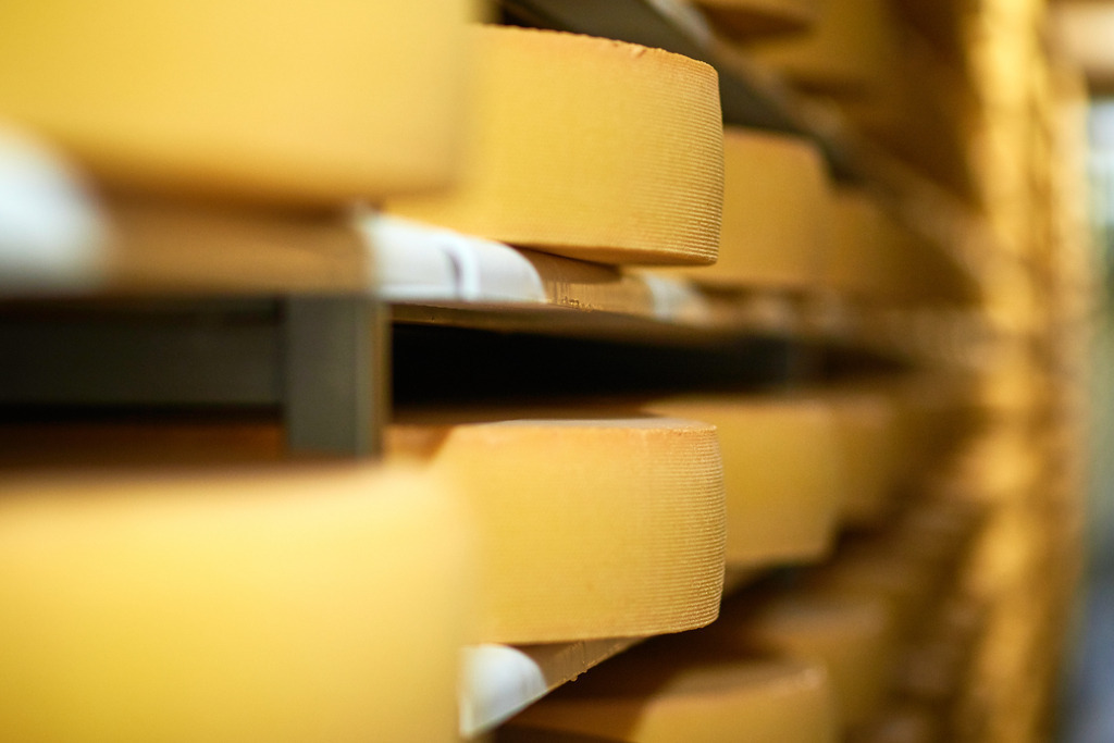 Sennerei Hittisau | Hittisau, Austria - July 29, 2019: Sennerei Hittisau; ein Blick in das Käselager mit Regalen und Käselaibe. - Realisiert mit Pictrs.com