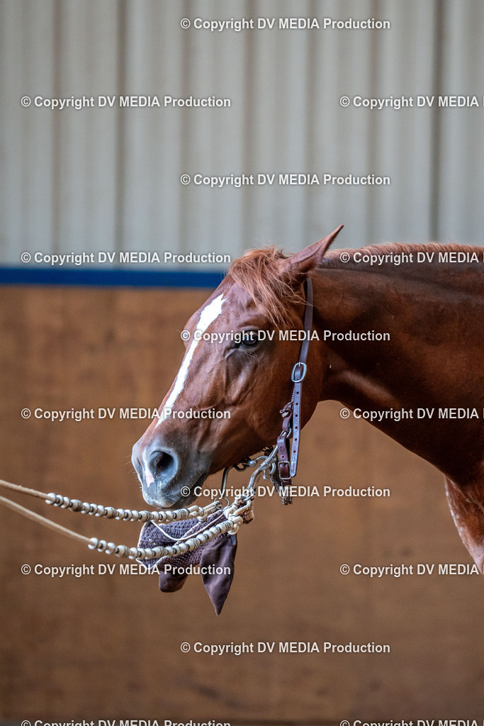 Neckargemünd Tag 3-755 | dv-media-shop - Realisiert mit Pictrs.com