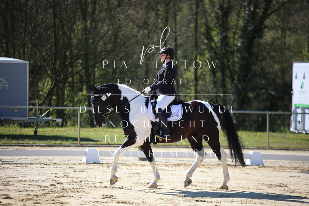 IMGT9314 | pl-fotografie