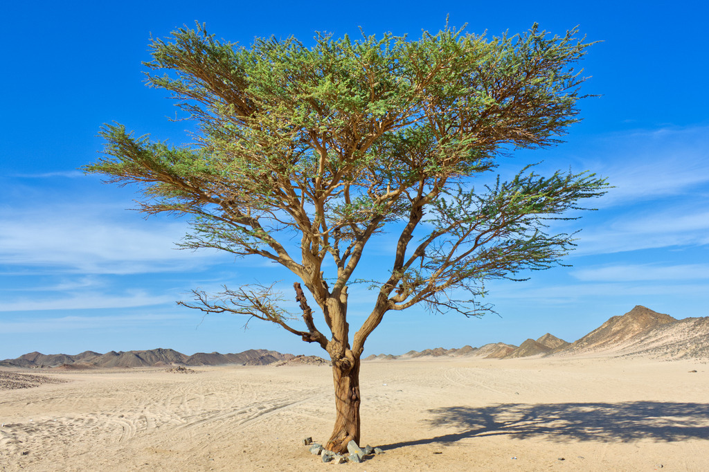 IMG_1831a | ansichtssache