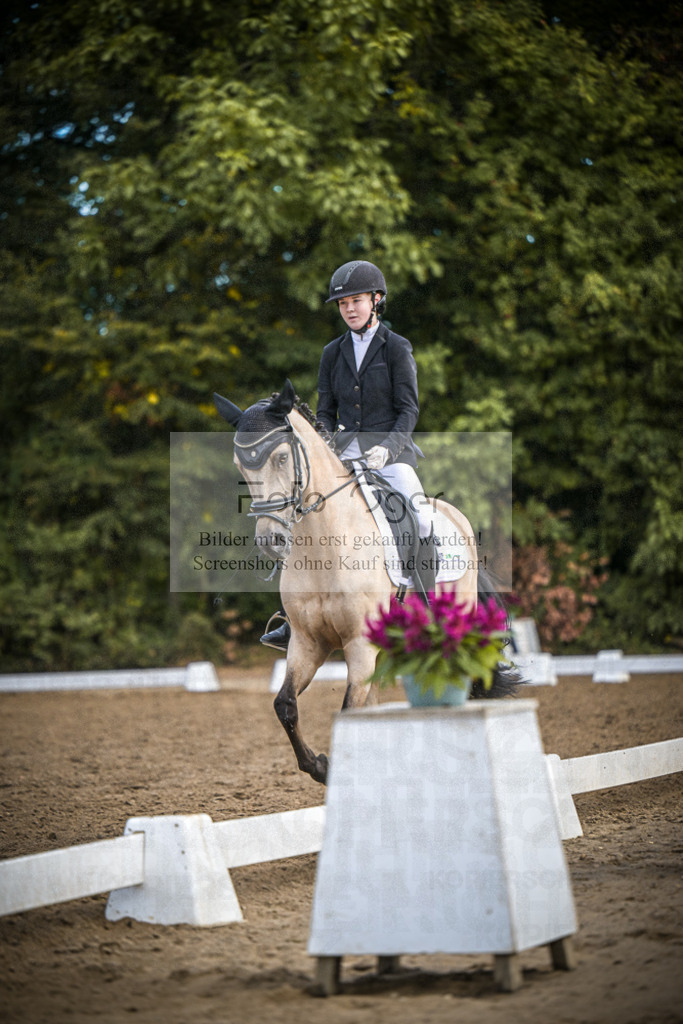 DOS_2423 | Entdecke hochwertige Reitturnierfotos von Foto Oger. Professionell, emotional und authentisch – jetzt Lieblingsmomente im Shop bestellen.Deutschlandweite Turnierfotografie. - Realisiert mit Pictrs.com