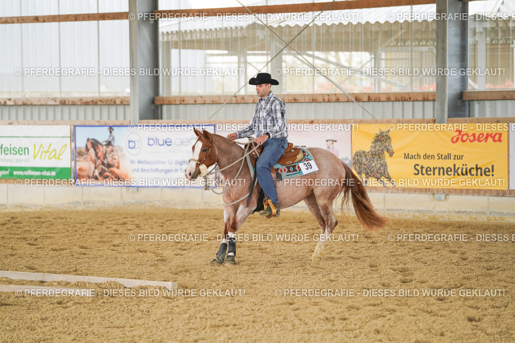 DSC03721 | Pferdegrafie