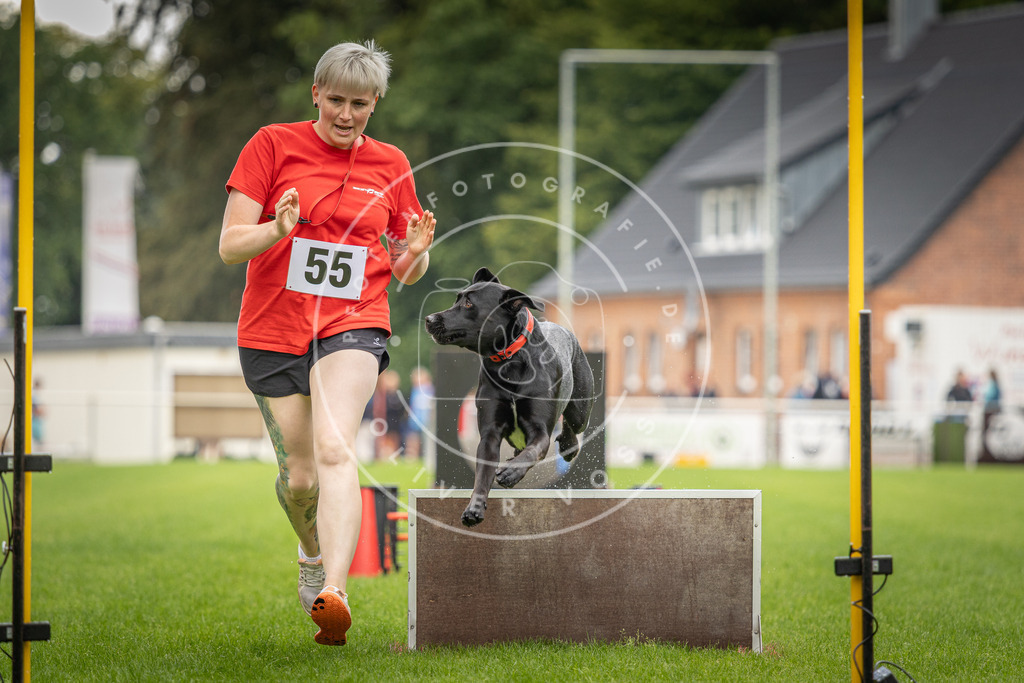 Pfotenfotografie_DV3A5803 | Hundefotografie, Tierfotograf, Pfotenfotografie, Fotoshooting Hund, Hunde Portrait, Hundesport, Hundeportraits, Heideshooting, Hunde, Sportfotograf, Hundefotograf, Turnierhundsport, THS,  - Realisiert mit Pictrs.com