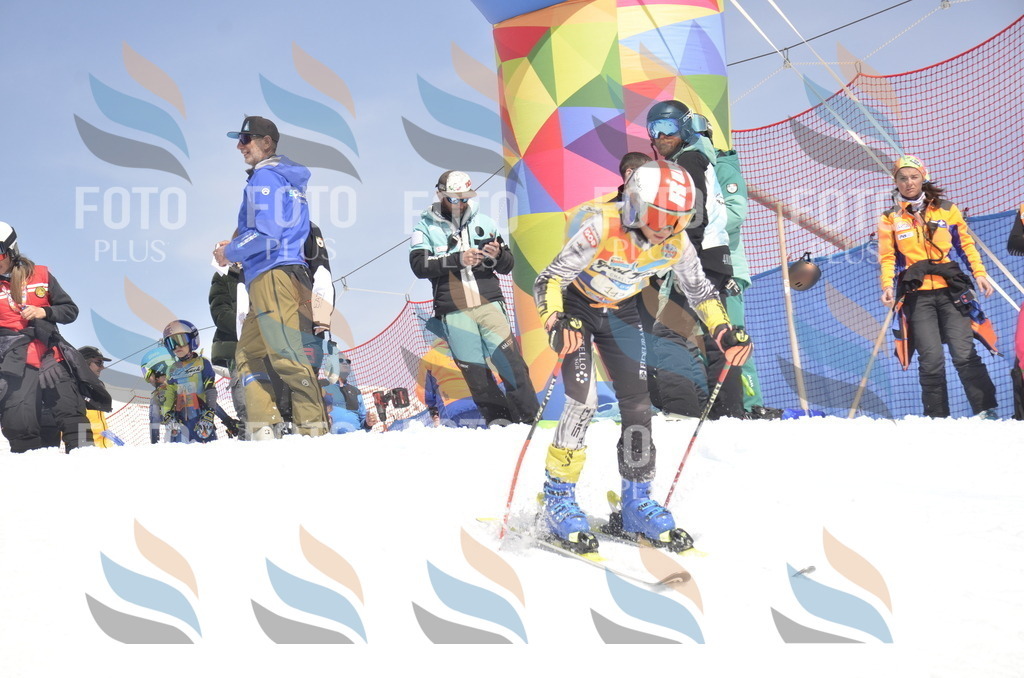 _ELE9496 | holidayphoto