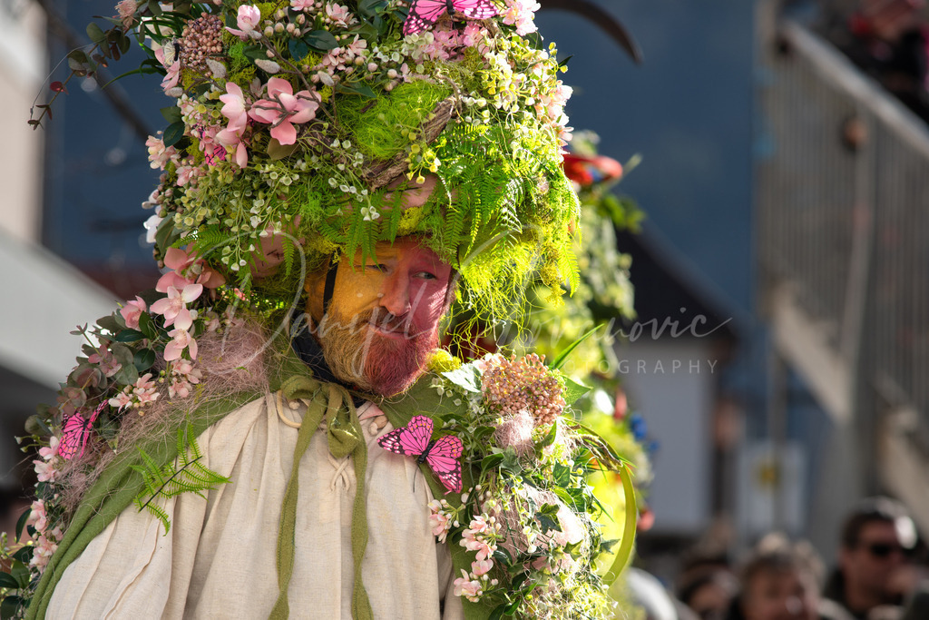 DSC00705 | Professioneller Fotograf - Bildbestellung online - Wandbilder vom Profi für ihr Zuhause, Büro, Praxis, Firma - große Auswahl an Materialien und Formaten, über 1400 regionale Motive