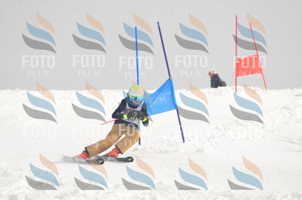 A5666 | holidayphoto