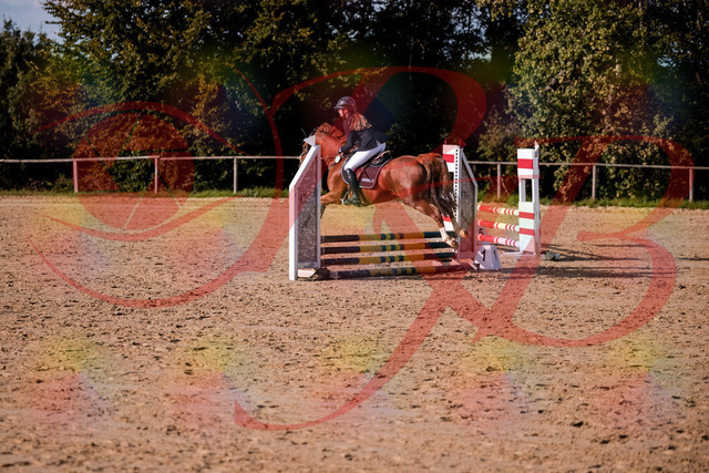 2026_10_03_Siefer-Hof_155744_Z81_77221788 | Professionelle Reitsport-, Turnier- und Eventfotografie von Robert Broda. Galerien mit ausgewählten und bearbeiteten Bildern direkt online ansehen und bestellen.