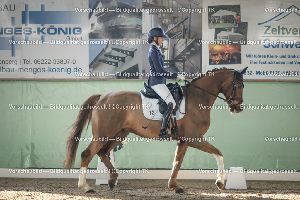 _D5A0581 | Emotionale Pferde- & People-Fotografie rund um Heidelberg, Leimen & Umgebung. Natürliche Fotos von Pferd, Mensch & Familie. Jetzt Termin sichern!