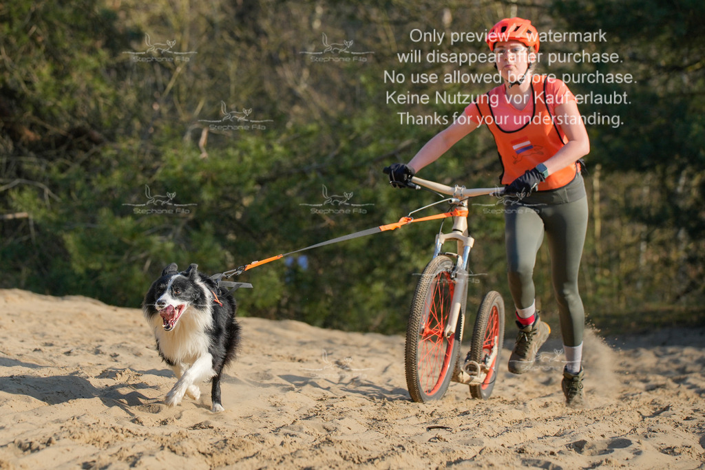 So_Scooter-313 | stephaniefillaphotographie - Realisiert mit Pictrs.com