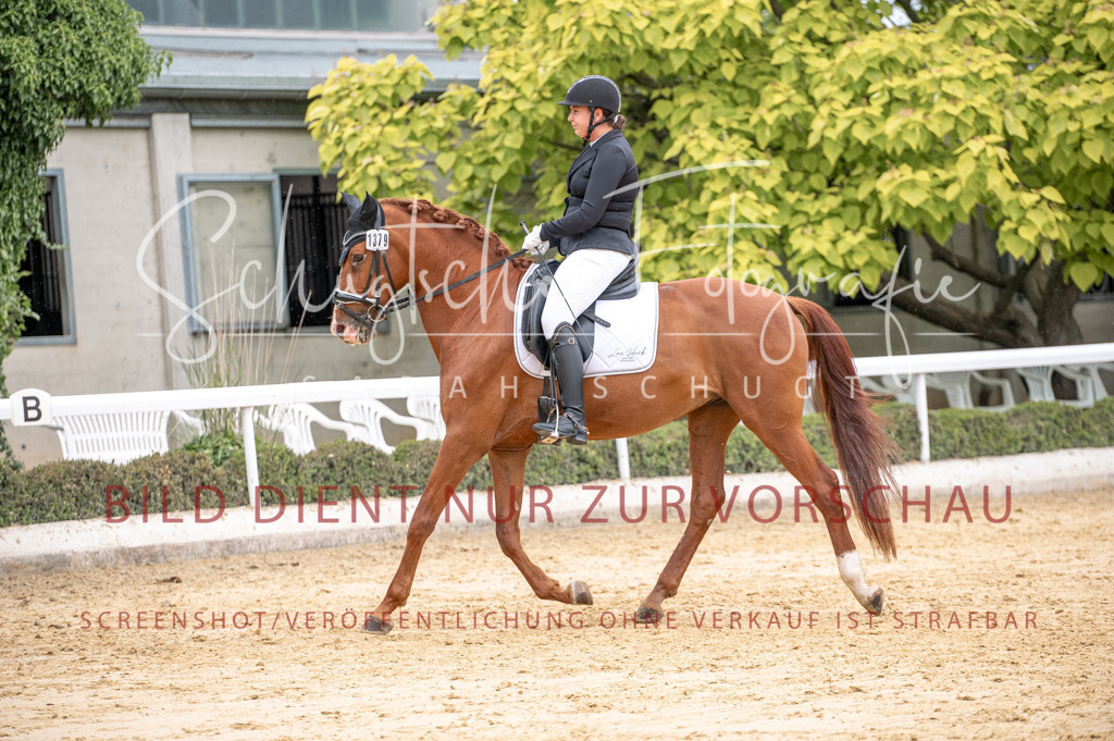 Schugtsche-Aluta25-41.Amat-Dressurprf.A_-262 | Schugtsche Fotografie - Realisiert mit Pictrs.com