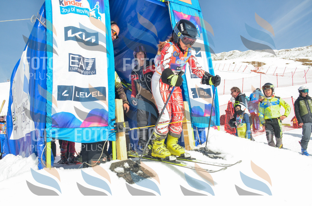 _ELE5515 | holidayphoto