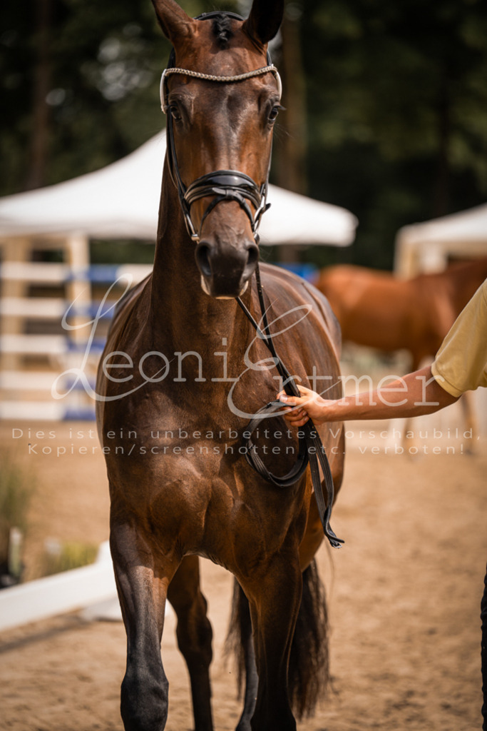 5.Fr00119 | Leoni Ertmer Photography - Realisiert mit Pictrs.com