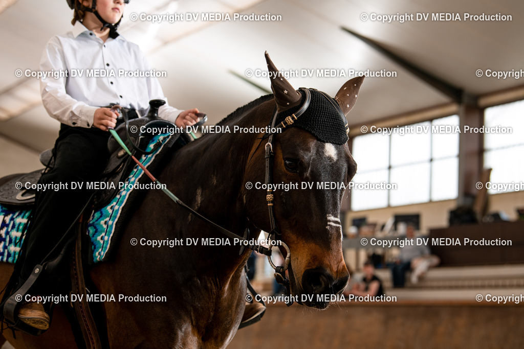 Heiligenwald Tag 2-570 | dv-media-shop - Realisiert mit Pictrs.com