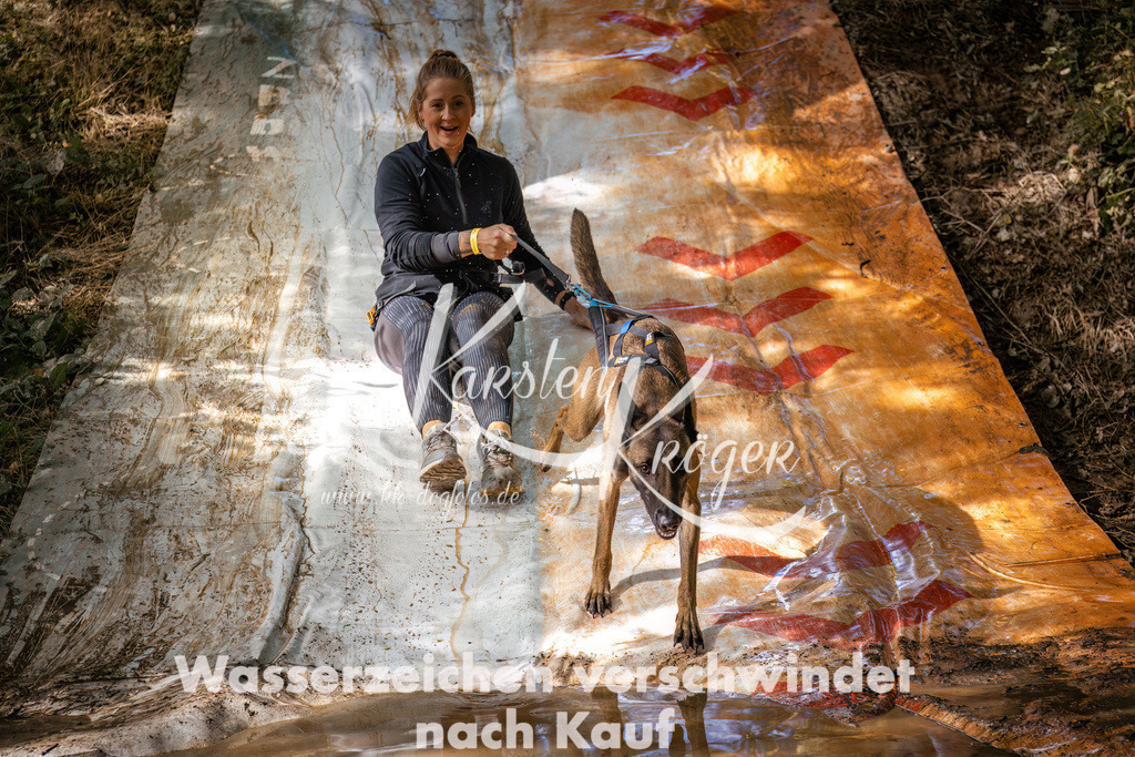 1353_ZZ93213 | kk-dogfotos