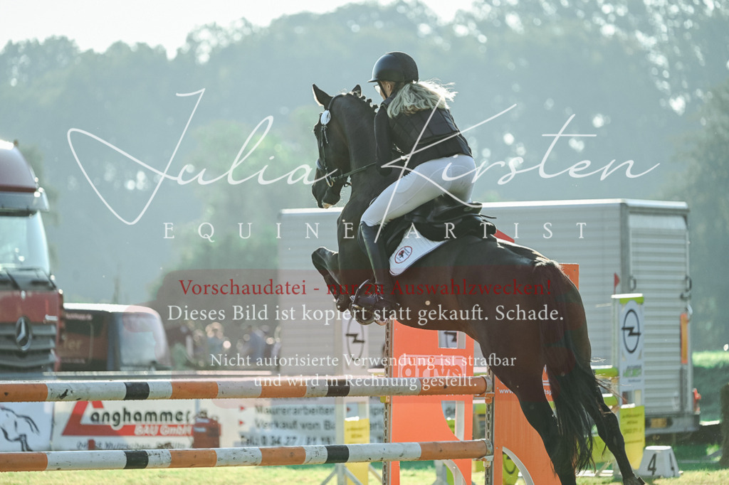 DSC_4226 | Pferde- und Turnierfotografie in Westsachsen. Pferdeportraits, Auftragszeichnungen und intuitive Kunst.