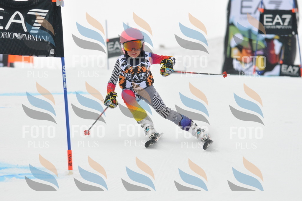 DSC_7565 | holidayphoto