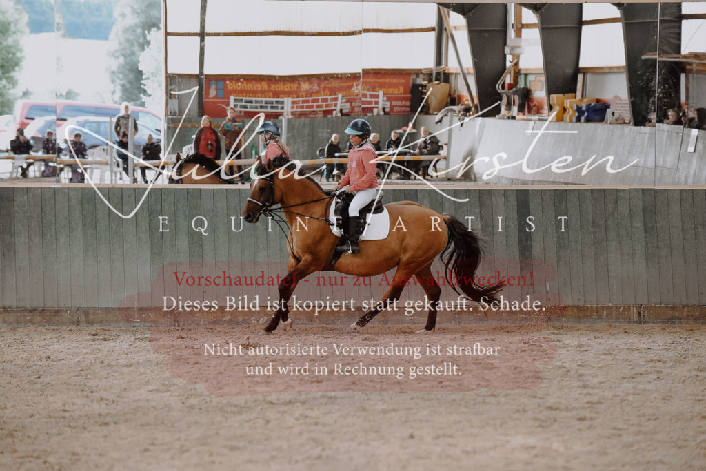 DSC_7532 | Pferde- und Turnierfotografie in Westsachsen. Pferdeportraits, Auftragszeichnungen und intuitive Kunst.