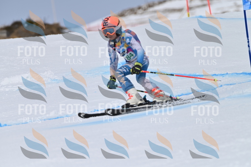 BGV_3601 | holidayphoto