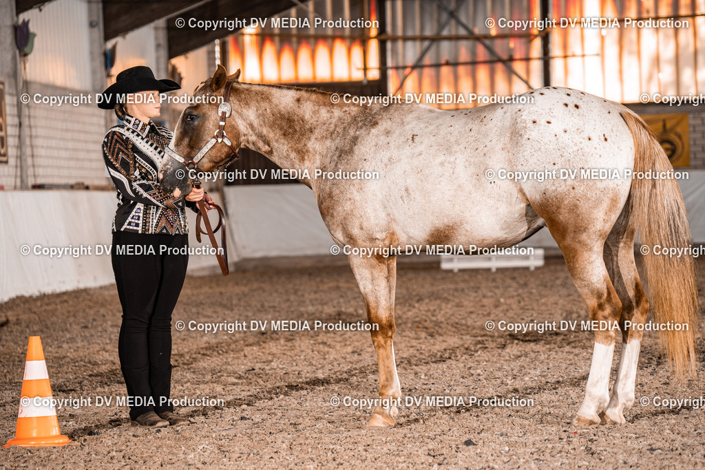 ZH100016 | dv-media-shop - Realisiert mit Pictrs.com