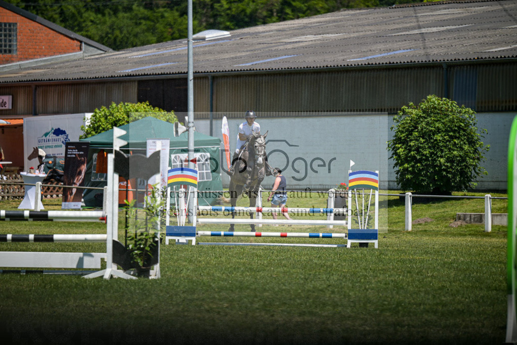 Reitturnier Voxtrup | Entdecke hochwertige Reitturnierfotos von Foto Oger. Professionell, emotional und authentisch – jetzt Lieblingsmomente im Shop bestellen. - Realisiert mit Pictrs.com