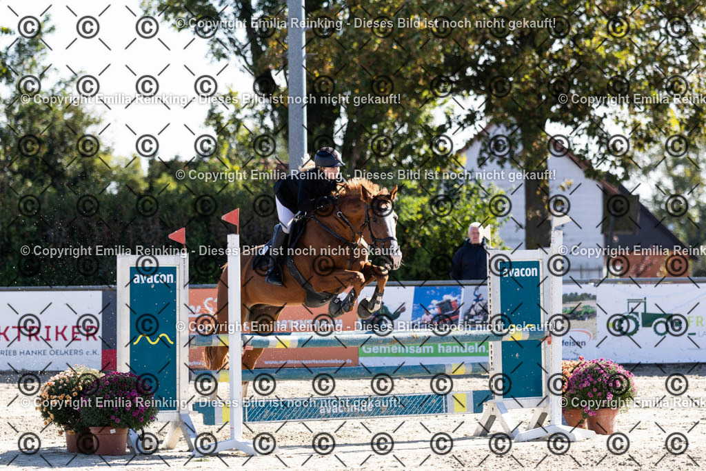 CL5A1348 | Emilia Reinking Fotografie - Realisiert mit Pictrs.com