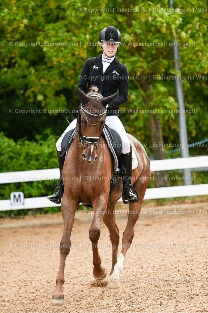 20230715_07_Dressurpferdeprfg. Kl.L_0067 | equistock