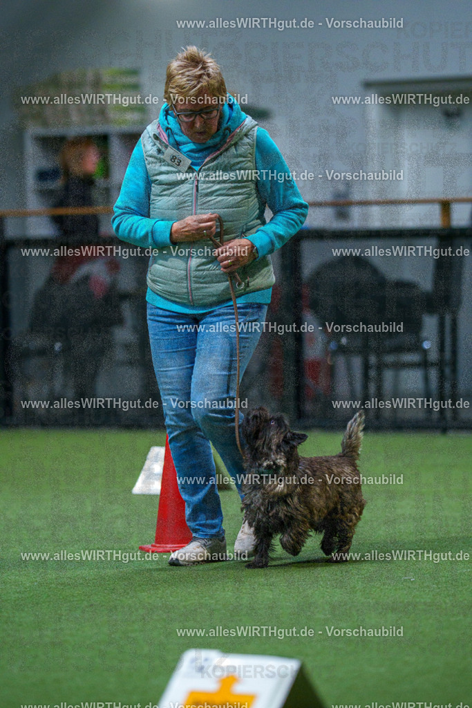 7R503250 | Professionelle Tierfotografie in Mönchengladbach von Daniel Wirth (allesWIRTHgut). Liebevolle & natürliche Bilder von Hunden & Katzen für unvergessliche Erinnerungen.