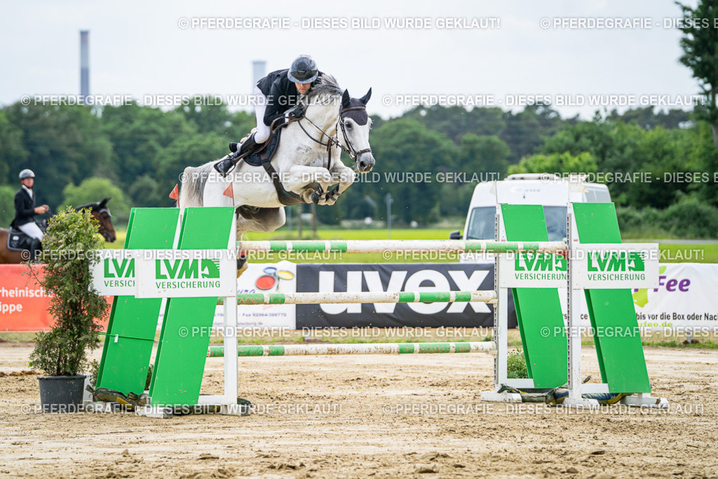 DSC07143 | Pferdegrafie