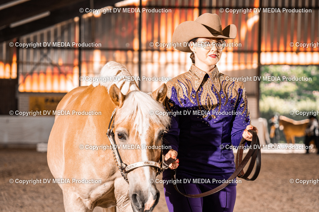 ZH100176 | dv-media-shop - Realisiert mit Pictrs.com