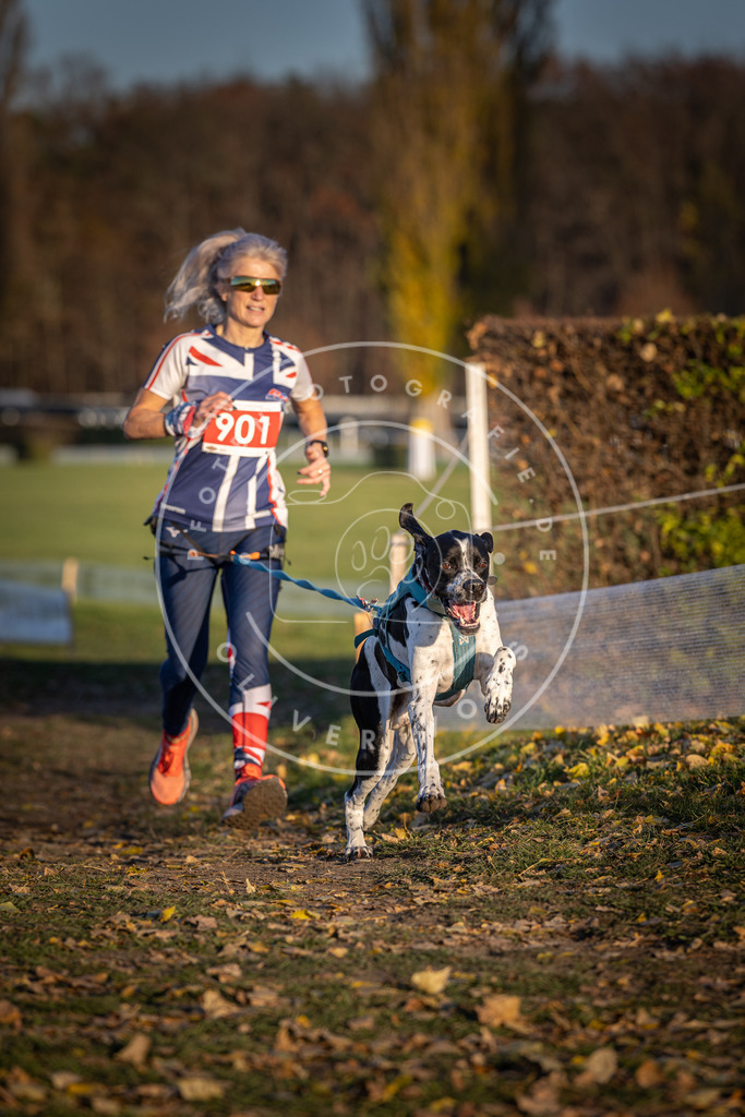 CaniXpix_DV3A4616 | Hundefotografie, Tierfotograf, Pfotenfotografie, Fotoshooting Hund, Hunde Portrait, Hundesport, Hundeportraits, Heideshooting, Hunde, Sportfotograf, Hundefotograf, Turnierhundsport, THS,  - Realisiert mit Pictrs.com