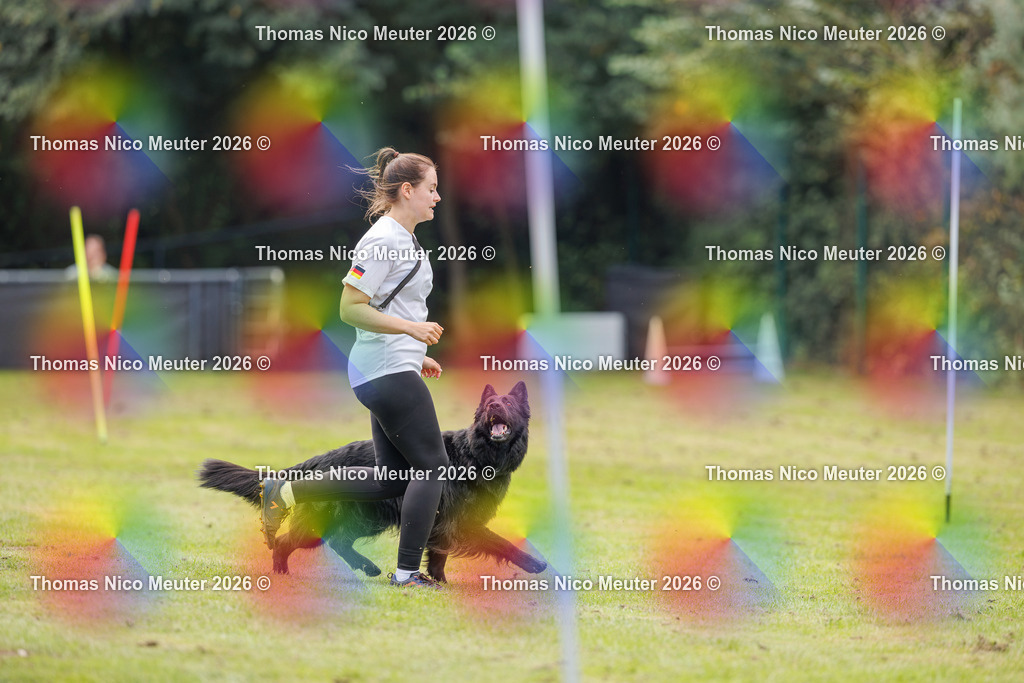 Thomas_Nico_Meuter(C)_27. September 2026_223A7713 | Bild von Thomas Nico Meuter - Realisiert mit Pictrs.com