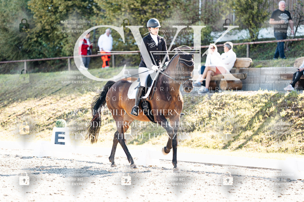 CK908744 | Turnierfotografie Pferdefotografie Trier Rheinland-Pfalz Pferdesport Reitsport Tierfotografie Sportfotografie Pferdevideo Pferdevideografie Equestrianvideography equestrianphotography  - Realisiert mit Pictrs.com