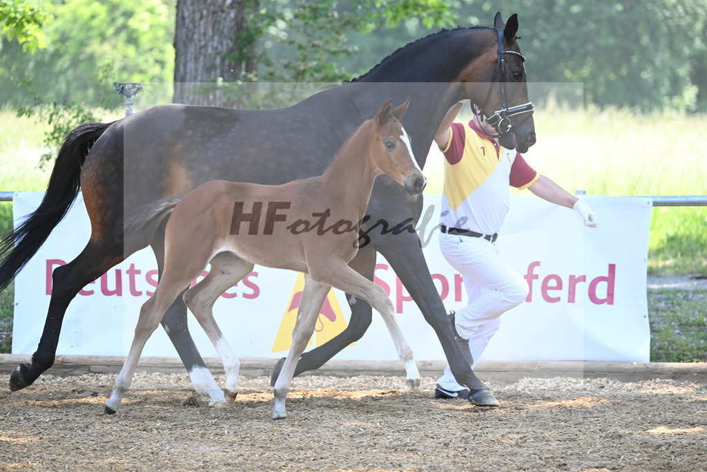 Kat-Nr. 12 SF Kjento_Knott_14230290 | hf-fotografie - Realisiert mit Pictrs.com