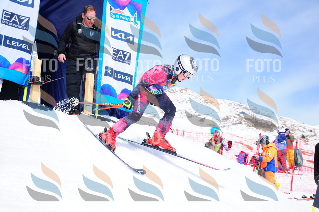 DSC_3350 | holidayphoto