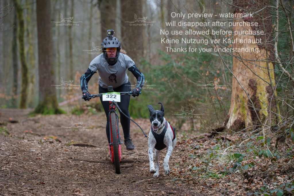 Scooter_So-36 | stephaniefillaphotographie - Realisiert mit Pictrs.com