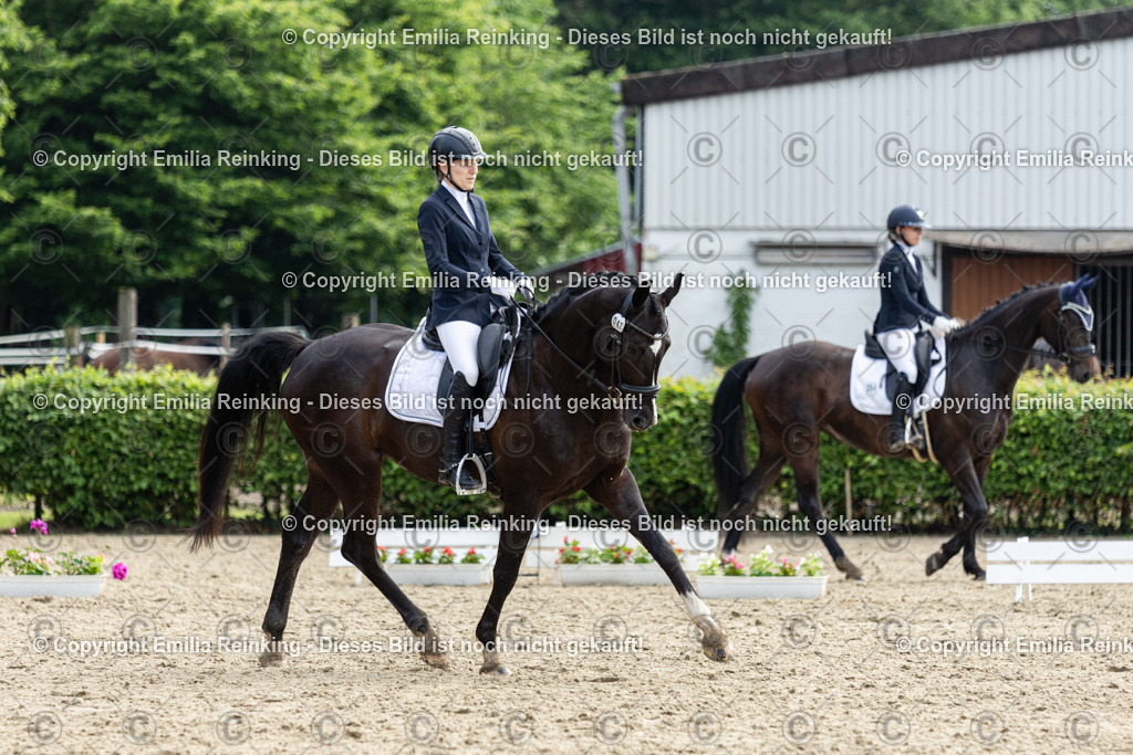 CL5A5175 | Emilia Reinking Fotografie - Realisiert mit Pictrs.com