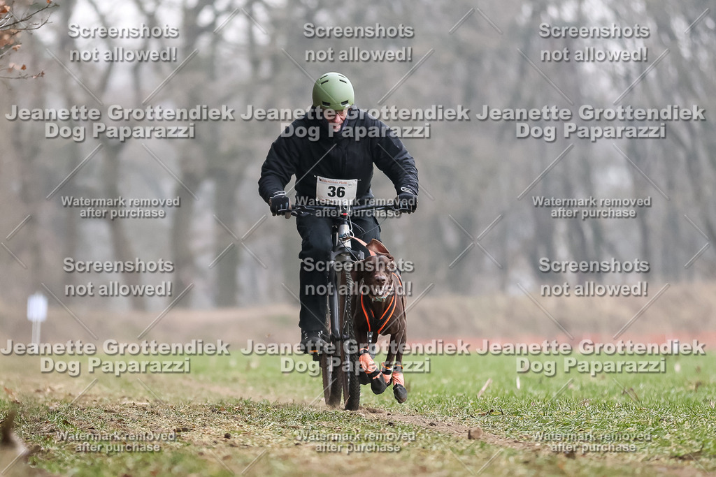 Dog Paparazzi - Plate 2026-116 | Dog Paparazzi Jeanette Grottendiek Fotografie & Videografie - Realisiert mit Pictrs.com