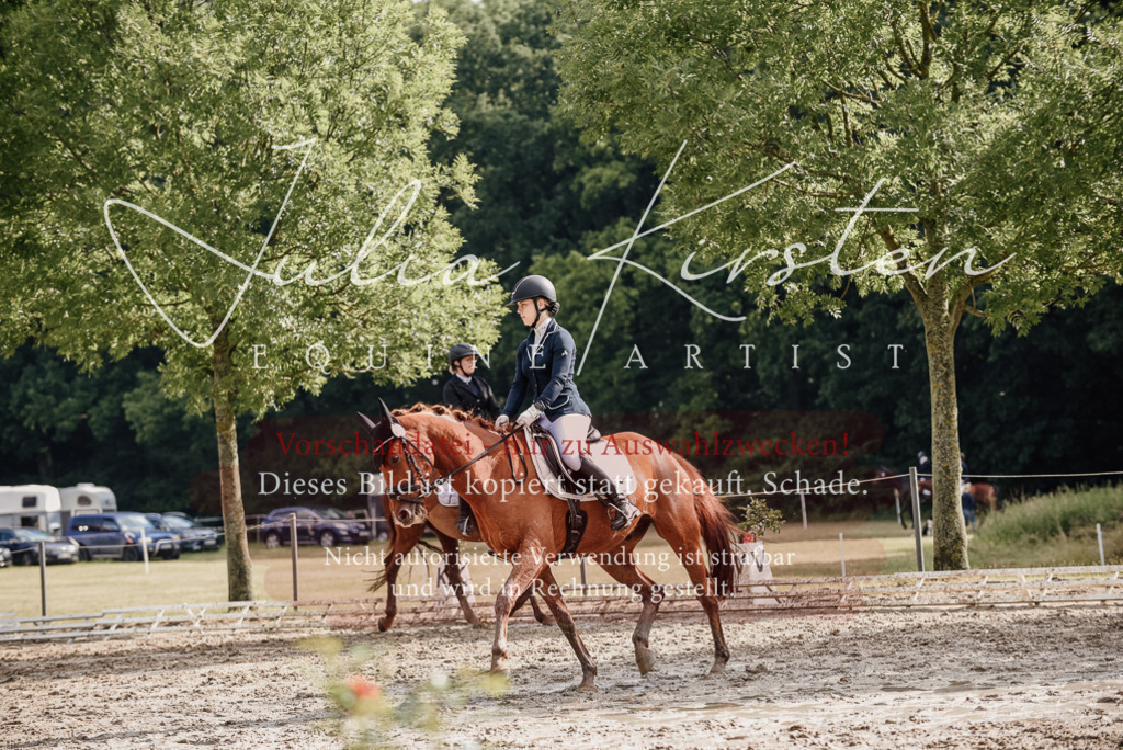 DSC_8923 | Pferde- und Turnierfotografie in Westsachsen. Pferdeportraits, Auftragszeichnungen und intuitive Kunst.