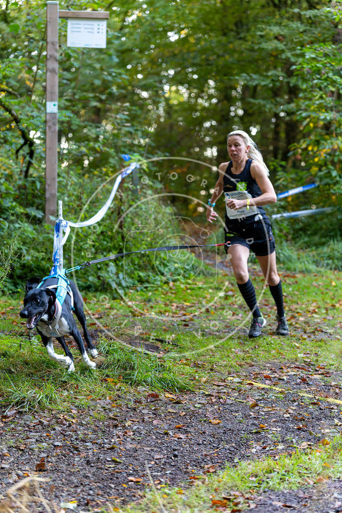 Pfotenfotografie_DV3A6195 | Hundefotografie, Tierfotograf, Pfotenfotografie, Fotoshooting Hund, Hunde Portrait, Hundesport, Hundeportraits, Heideshooting, Hunde, Sportfotograf, Hundefotograf, Turnierhundsport, THS,  - Realisiert mit Pictrs.com