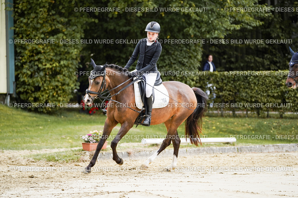 DSC04770 | Pferdegrafie