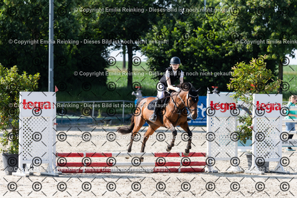 CL5A1173 | Emilia Reinking Fotografie - Realisiert mit Pictrs.com