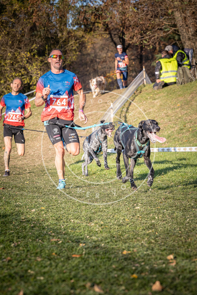 CaniXpix_0L8A0015 | Hundefotografie, Tierfotograf, Pfotenfotografie, Fotoshooting Hund, Hunde Portrait, Hundesport, Hundeportraits, Heideshooting, Hunde, Sportfotograf, Hundefotograf, Turnierhundsport, THS,  - Realisiert mit Pictrs.com