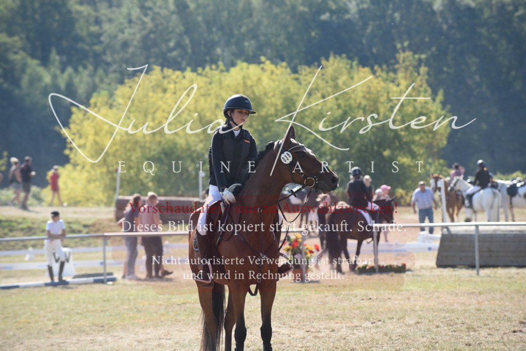 DSC_6117 | Pferde- und Turnierfotografie in Westsachsen. Pferdeportraits, Auftragszeichnungen und intuitive Kunst.
