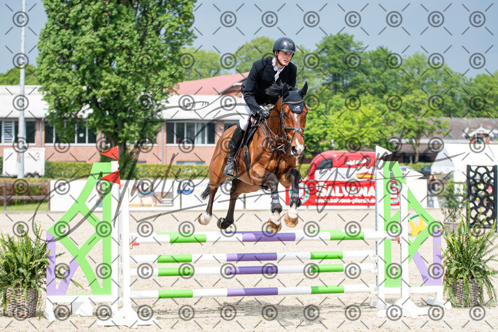 KPT_2936 | andre_photographic