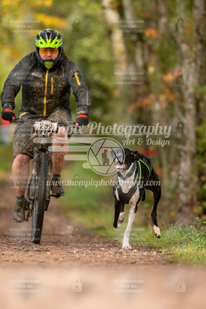 TSB_2023_E4_Bike-49 | PayLife