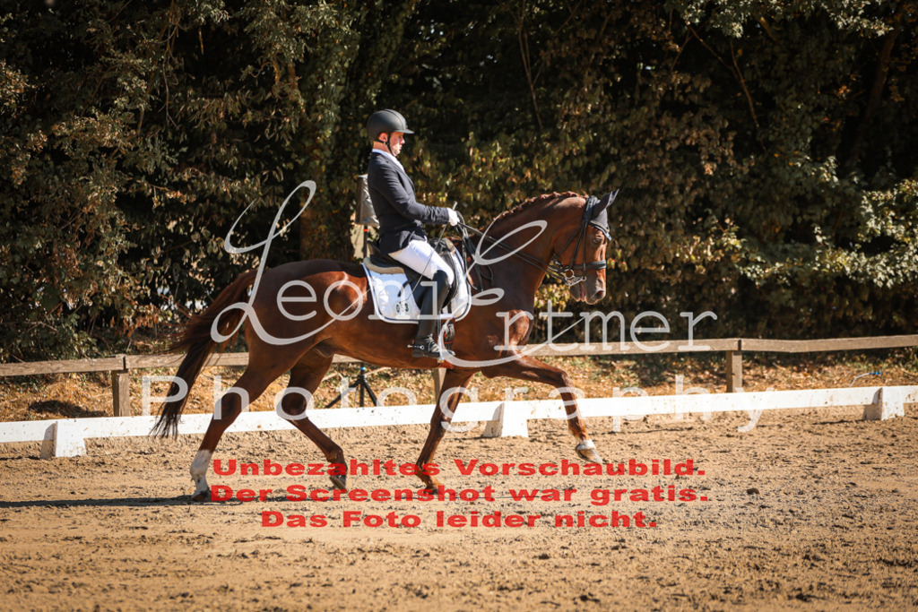 05.SaDrM00141 | Leoni Ertmer Photography - Realisiert mit Pictrs.com