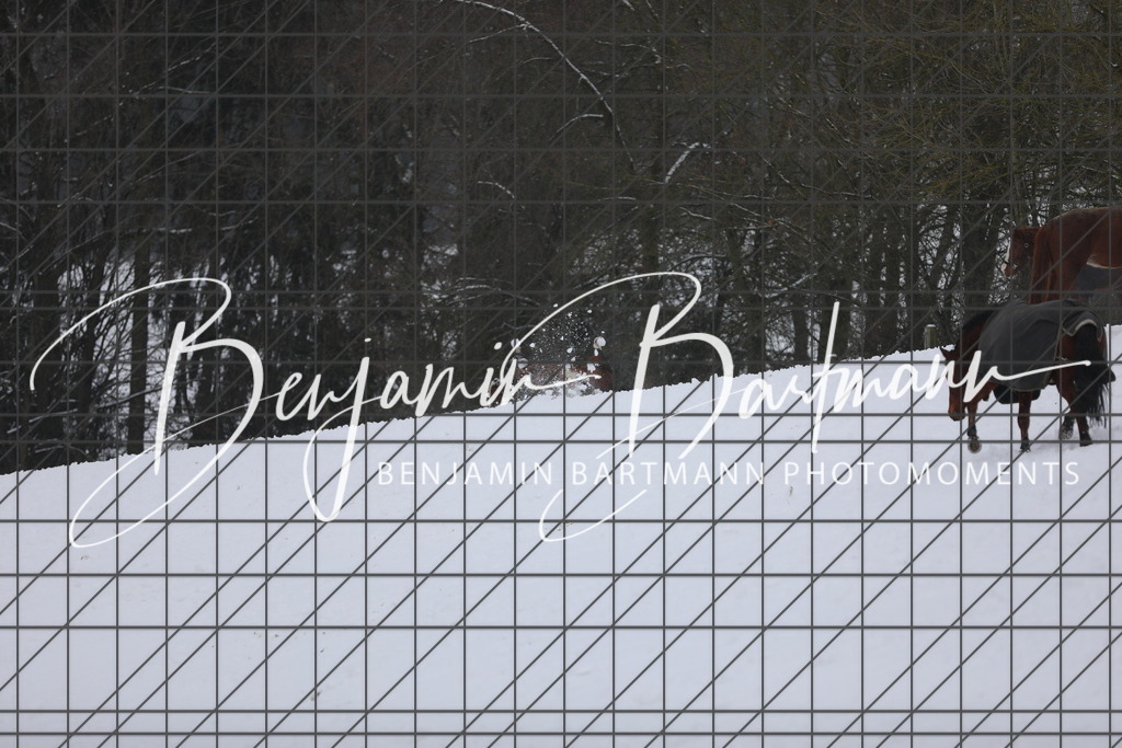 AZ2A3359 | Benjamin Bartmann Photomoments