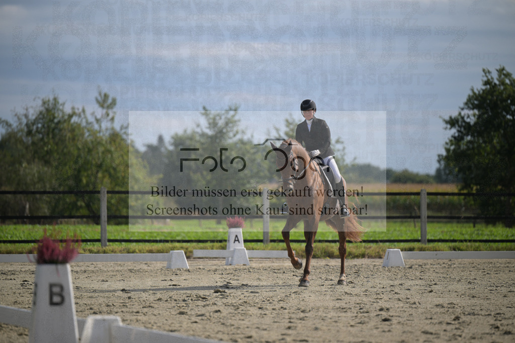 DOS_2632 | Entdecke hochwertige Reitturnierfotos von Foto Oger. Professionell, emotional und authentisch – jetzt Lieblingsmomente im Shop bestellen.Deutschlandweite Turnierfotografie. - Realisiert mit Pictrs.com