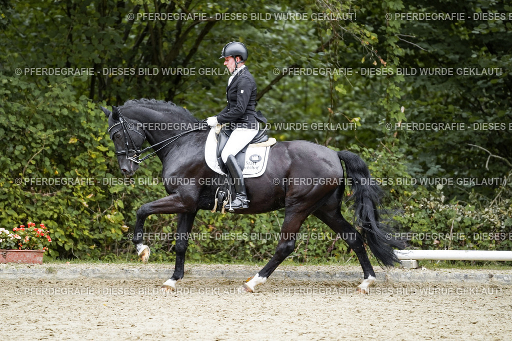 DSC02181 | Pferdegrafie